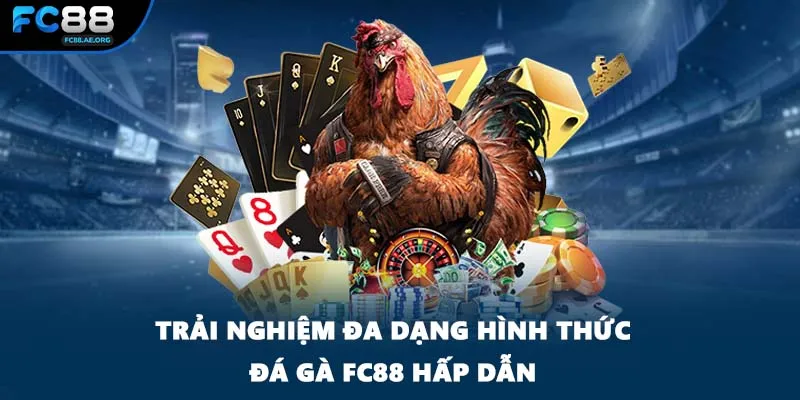 Trải nghiệm đa dạng hình thức đá gà FC88 hấp dẫn